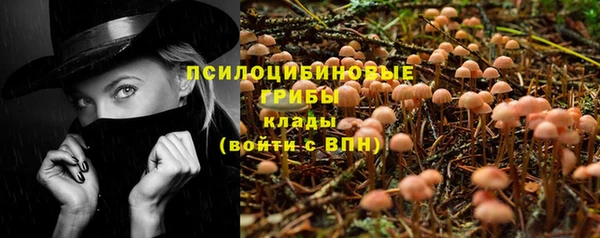 spice Абаза