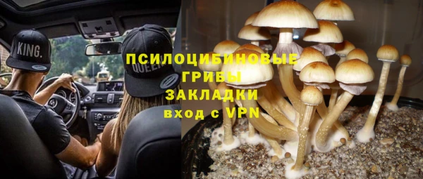 метадон Пролетарск