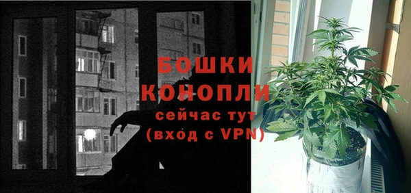 mdpv Протвино